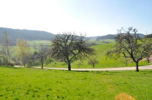Fehrenbacherhof Naturgaestehaus Лаутербах Екстер'єр фото